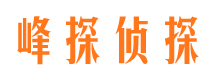 高明市调查公司